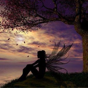 Meet your Posher, Karly